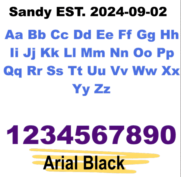 Acrylic Non-Script Name Sign - 22" - Image 9