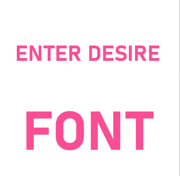 user entered their preferred font style